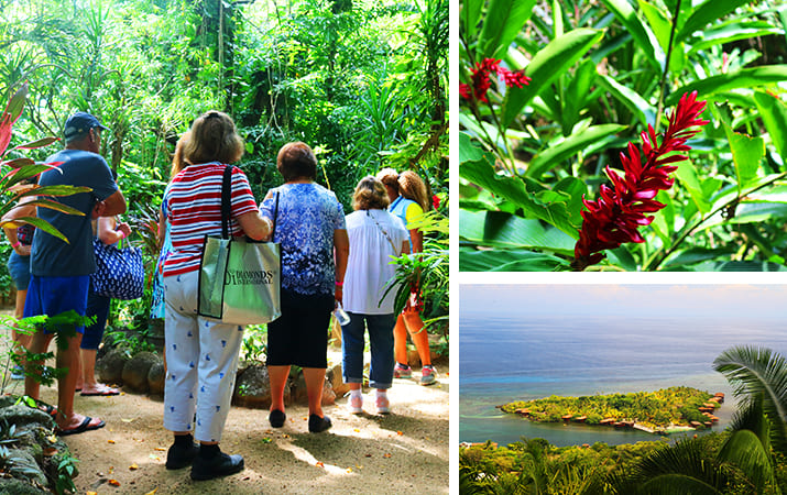 Roatan Carambola Eco Garden Walking Tours