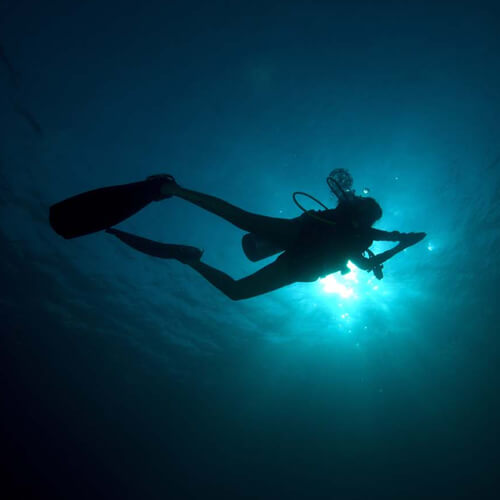 Roatan night snorkeling and dive tours