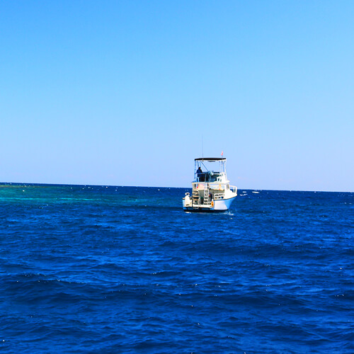 Roatan private custom dive packages