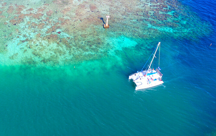 Roatan Catamaran Cruise