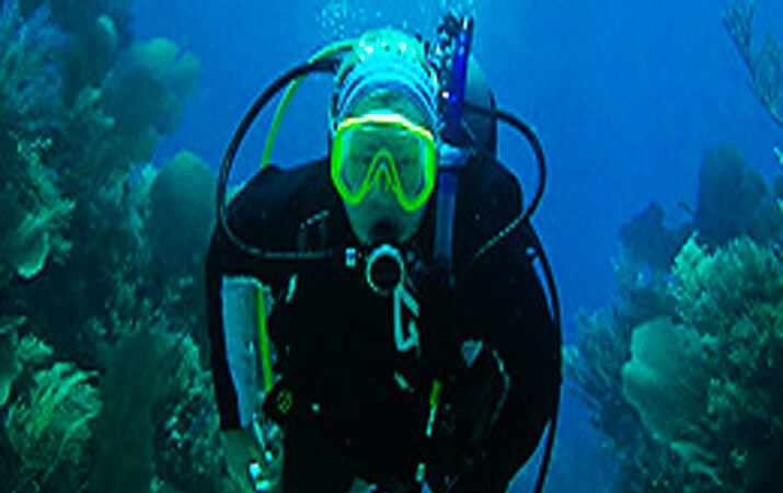 Diving Packages in Roatan, Honduras