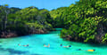 The Mangroves in Roatan