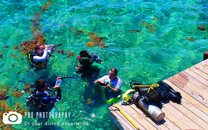 Photography in Roatan