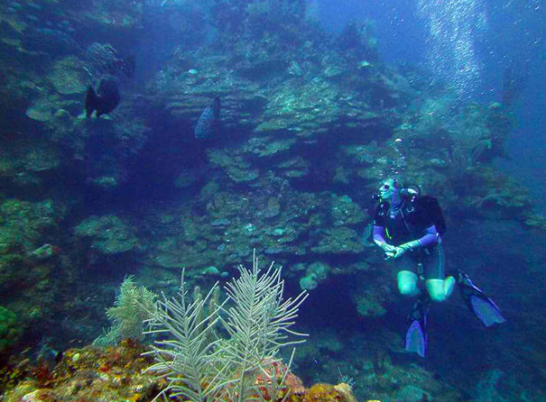 Roatan Reef System