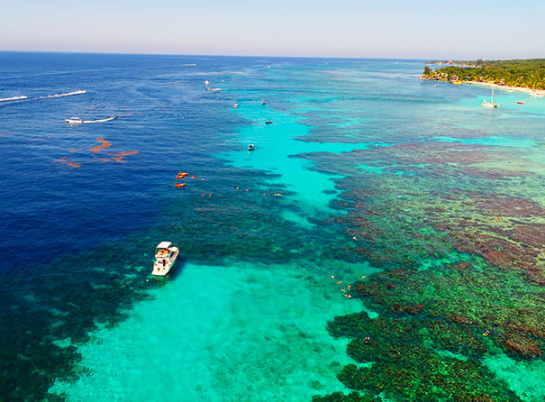 Roatan Dive and Beach