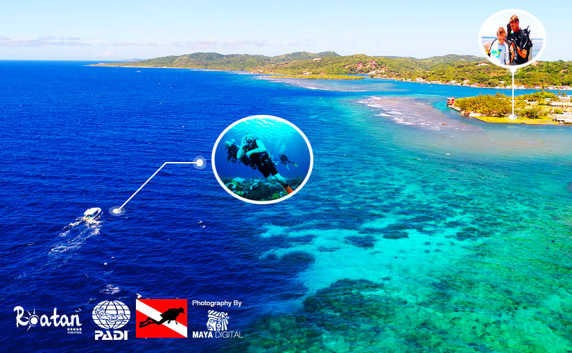 Roatan PADI Diving Courses