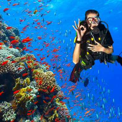 Roatan Private Diving