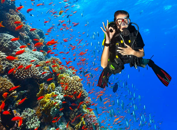 Roatan Private Diving