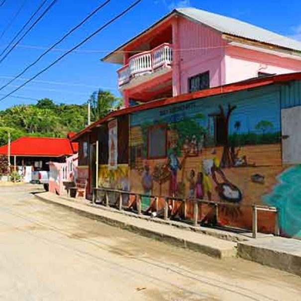 Roatan Punta Gorda Culture Tour