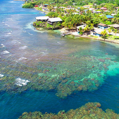 Roatan Shore Dive Tour