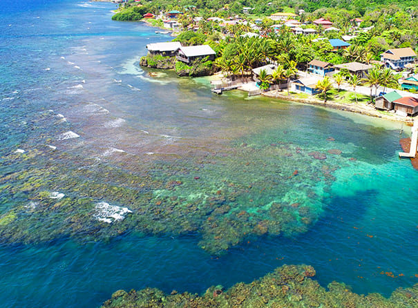 Roatan Shore Dive Tour