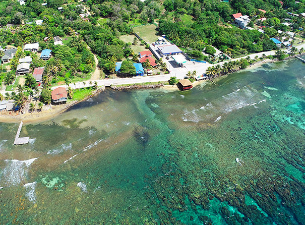 Roatan shore dive