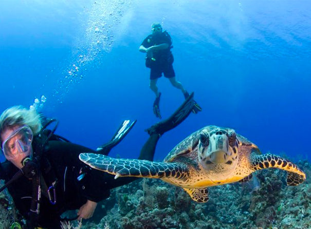 Roatan marine park