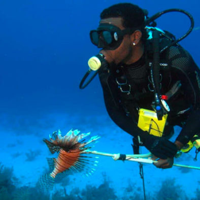 Roatan lionfish spearfishing