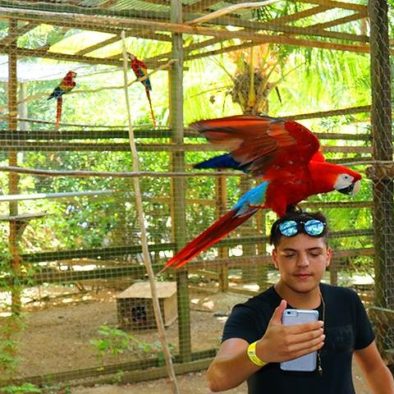 Roatan wildlife encounters