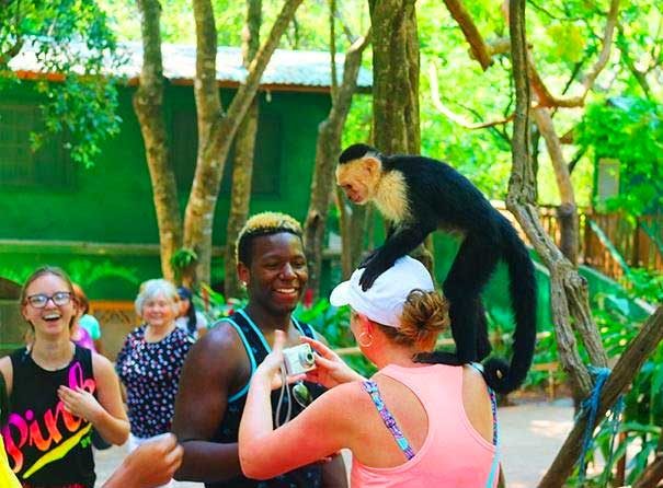 roatan monkey sanctuary