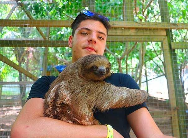 roatan sloths tour