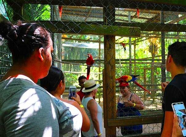 roatan wildlife encounter