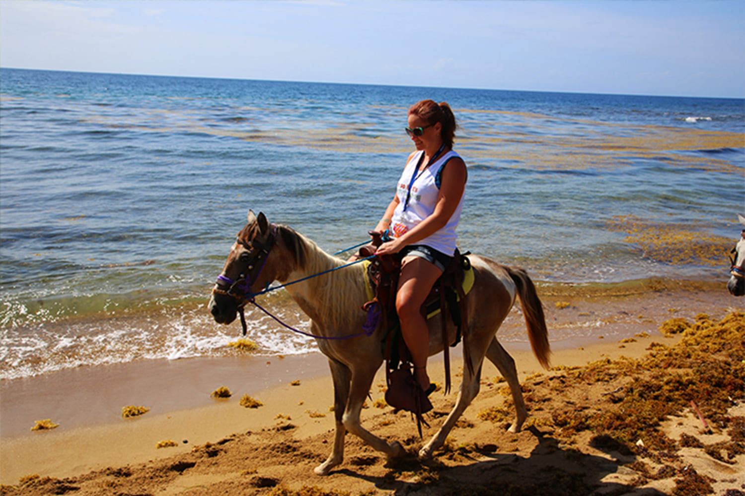 Roatan Horseback Riding West Tour Beach And Shuttle Roatan Five Stars