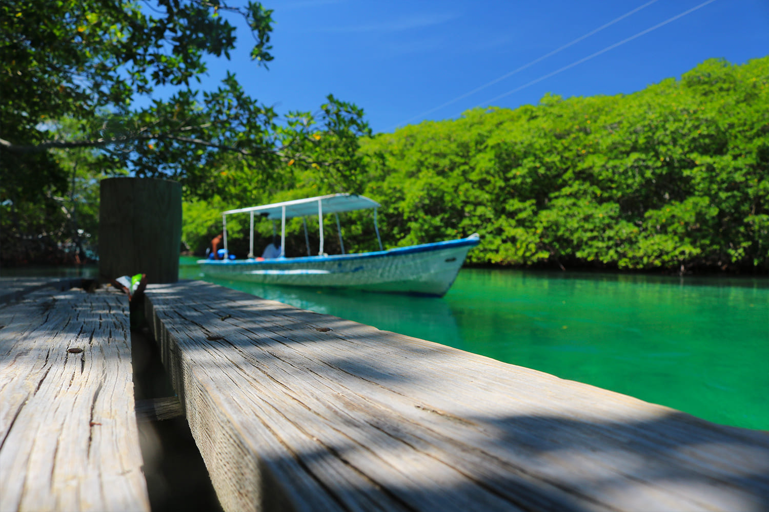 Roatan East Mangrove Tunnels, Snorkeling plus Hole in the Wall - Roatan ...