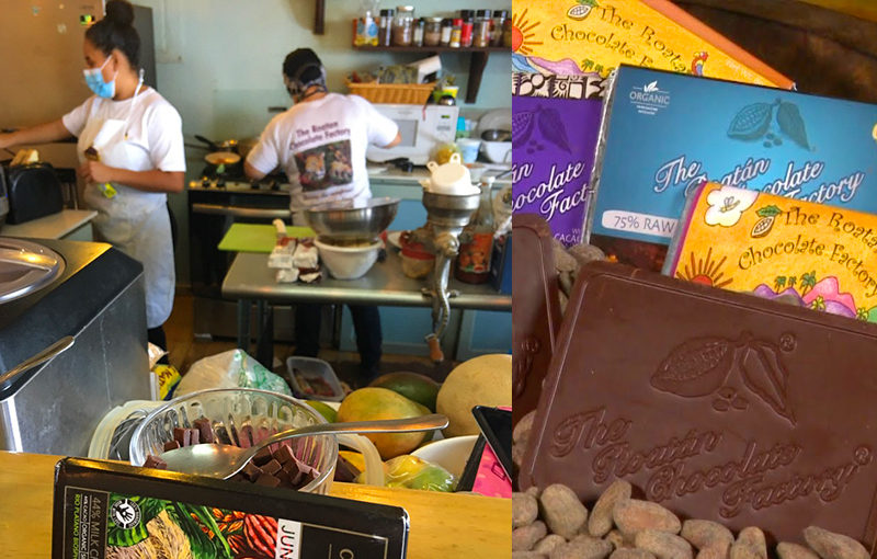 roatan chocolate factory tour