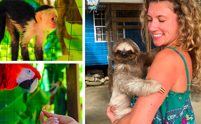 roatan sloth tour