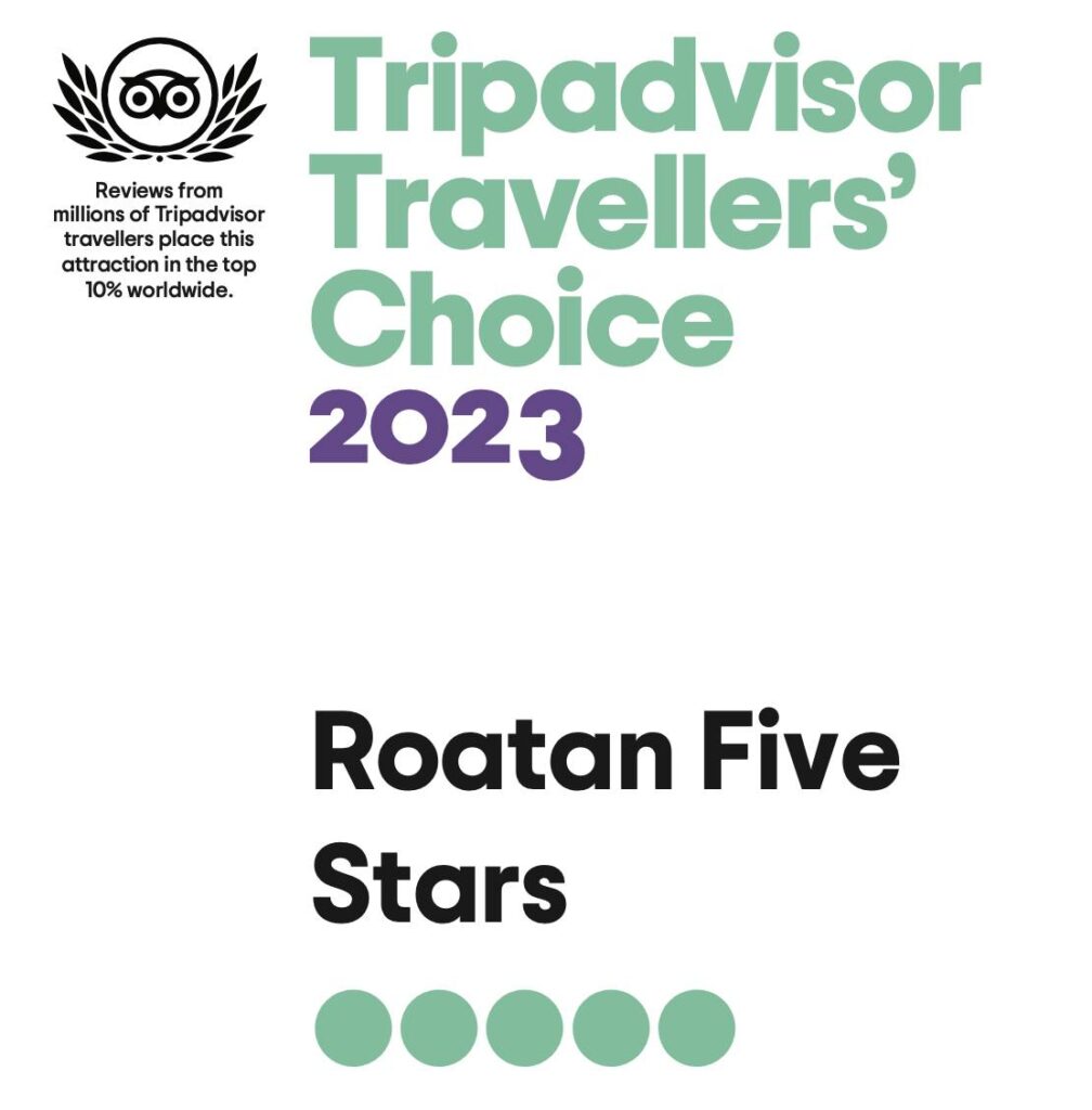 five stars tours packages 2023